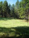 AF Village West Lot 168 - Price Reduction!